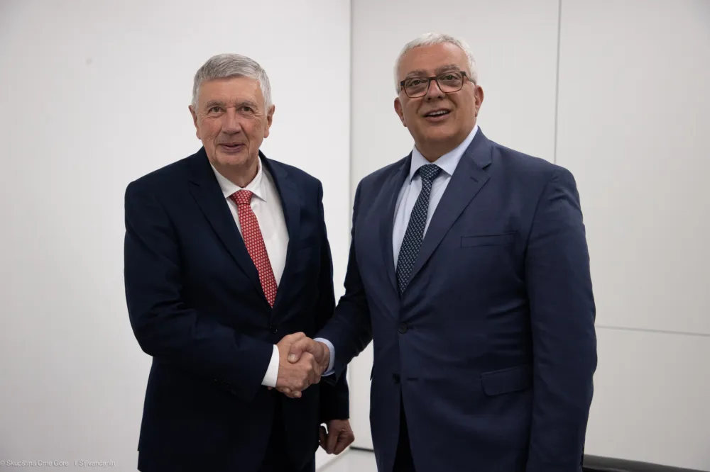 Andrija Mandić i Neboj&scaron;a Radmanović