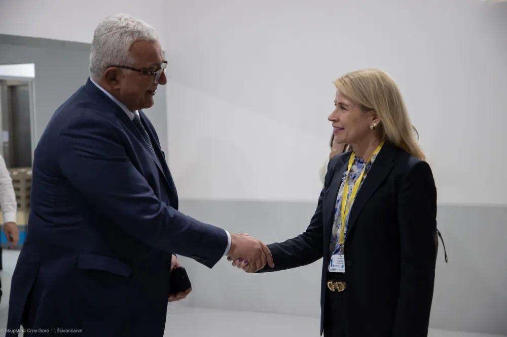 Mandić:&nbsp;Skup&scaron;tina Crne Gore ima odličnu saradnju sa Misijom OEBS-a