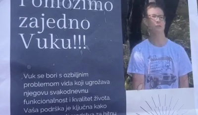 Pomoć Vuku