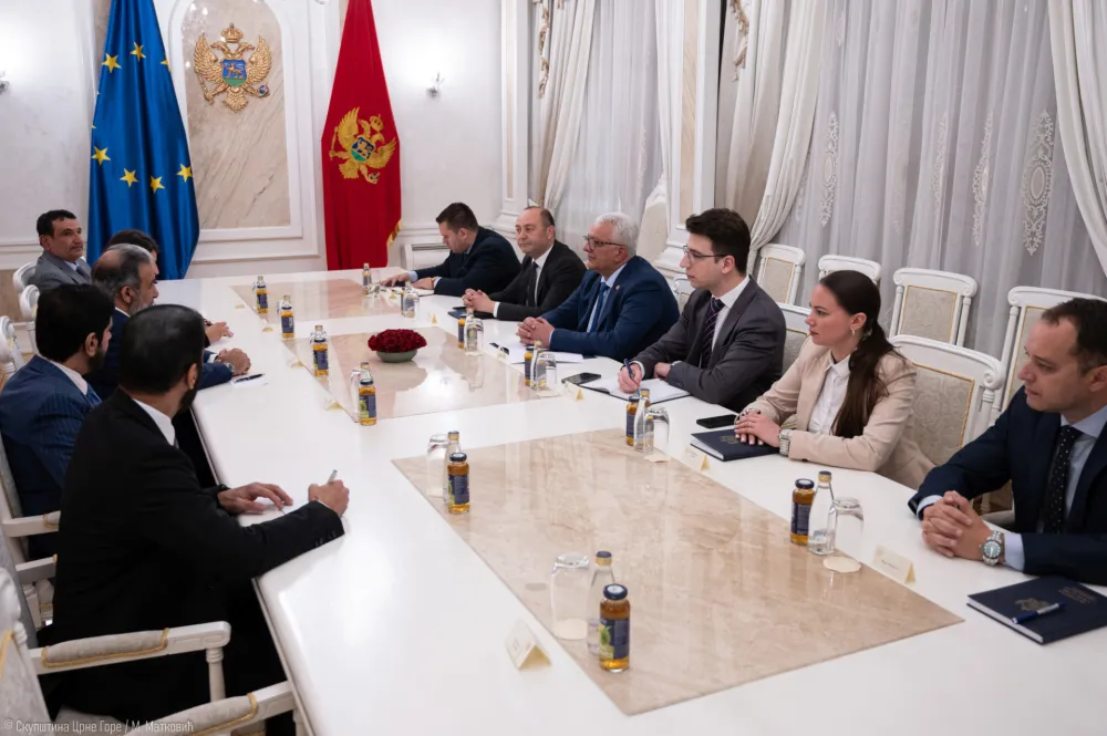 Mandić: Od izuzetne važnosti dalji razvoj ekonomske saradnje sa Državom Katar