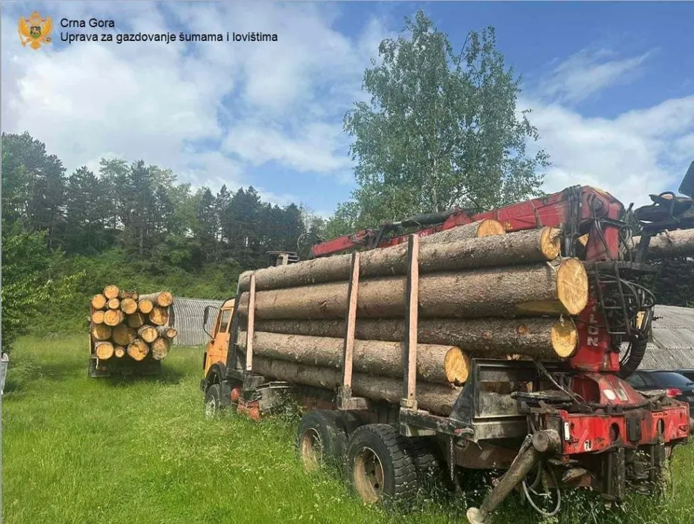 Berane: U Jelovici, uhvaćen i čuvar &scaron;uma sa svojim kamionom