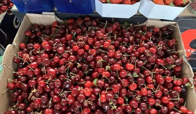 Na zelenoј piјaci u Ginta&scaron;u te&scaron;nje prodaјu za pet eura