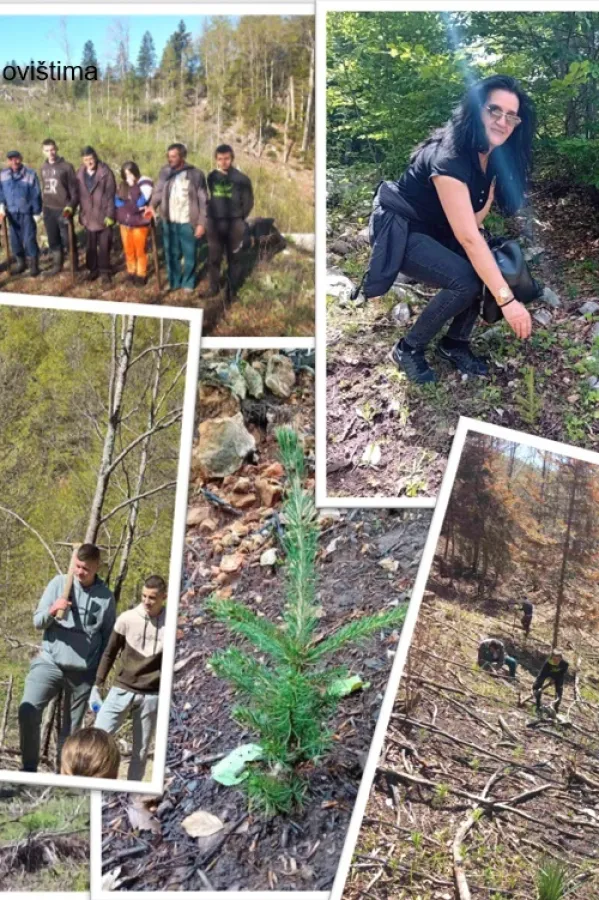 Akcije&nbsp;po&scaron;umljavanja: Posađeno 30.000 sadnica u Plužinama, Nik&scaron;iću i Kola&scaron;inu