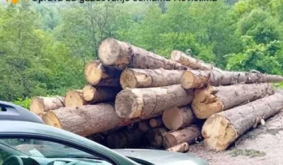 Nove zaplijene drvnih sortimenata u Jelovici
