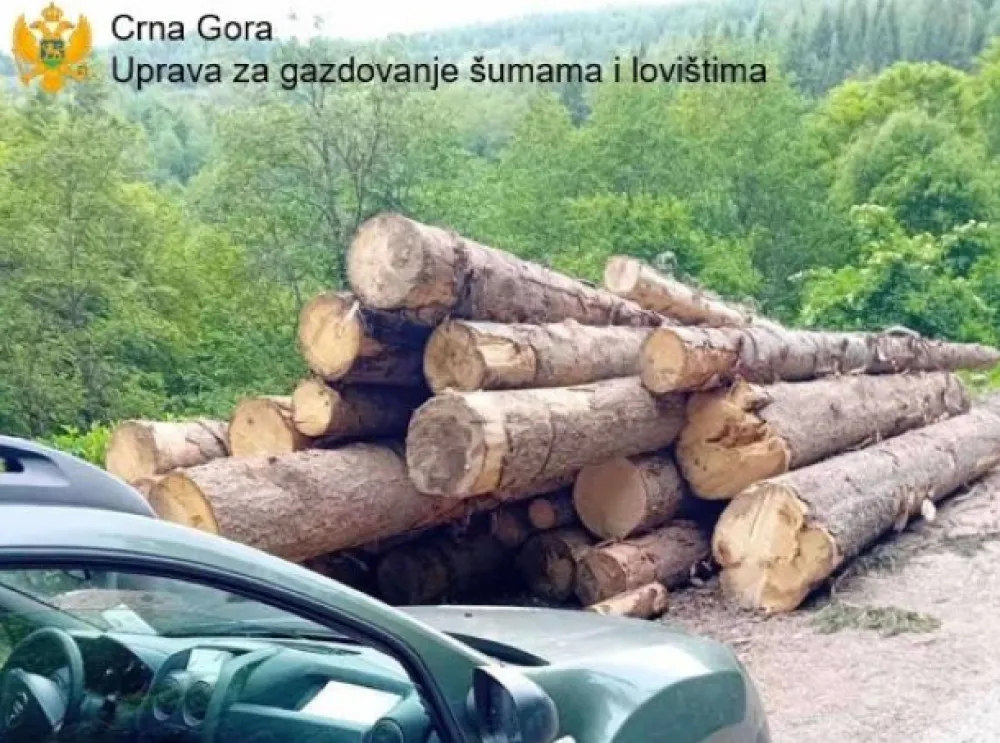 Nove zaplijene drvnih sortimenata u Jelovici