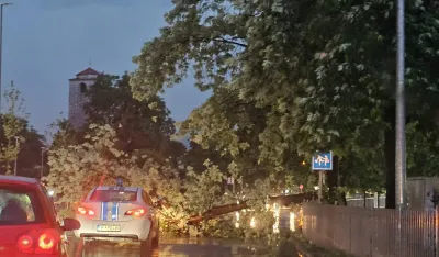 Drvo blokiralo Ulicu kralka Nikole