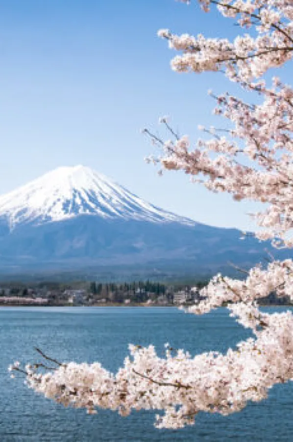 Japanci uvode ograničenja za turiste zbog lo&scaron;eg pona&scaron;anja