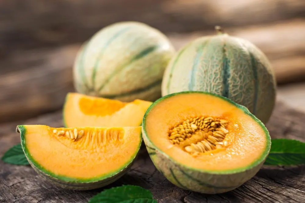 Savjeti nutricionista: Jedite vi&scaron;e dinje ovog ljeta