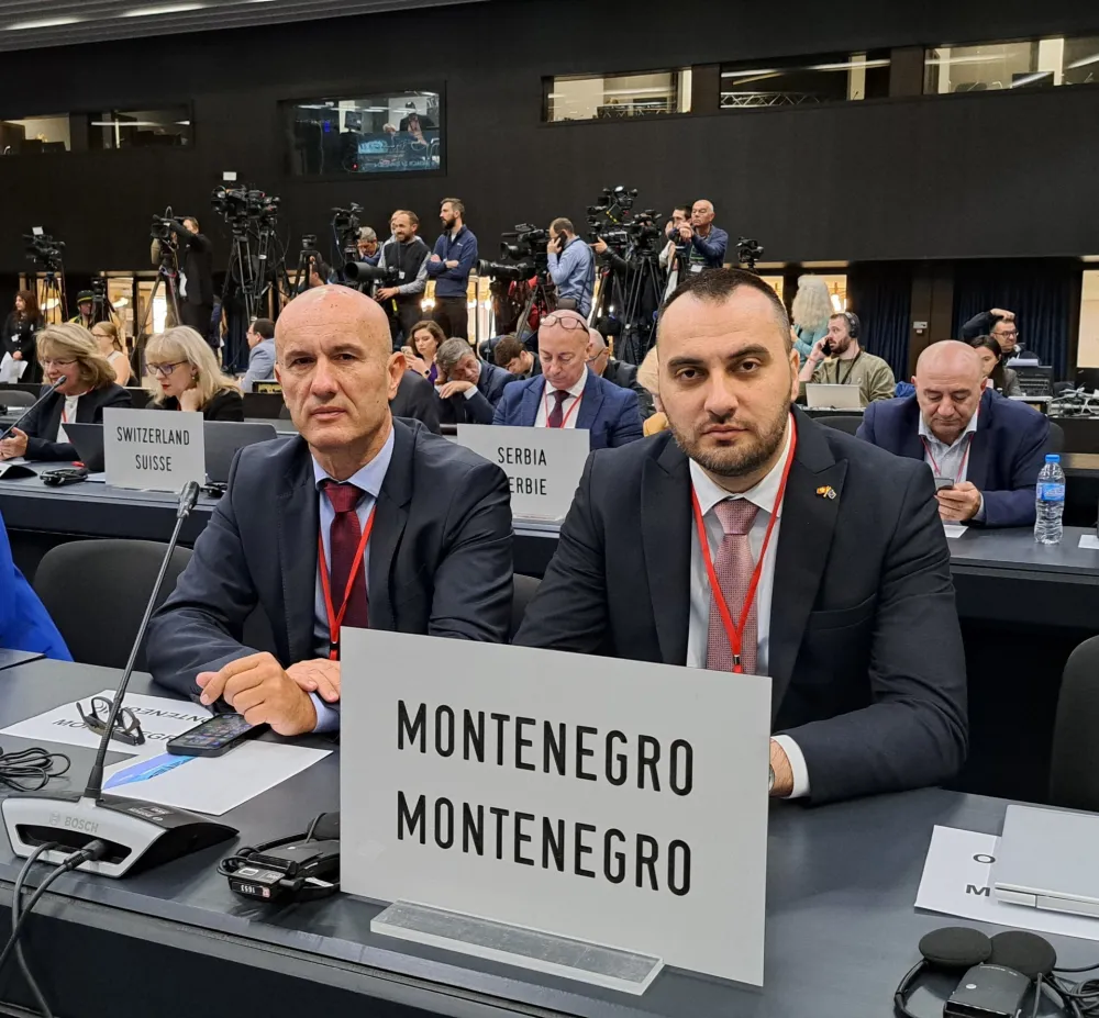 Stjepović i Laković učestvovali u radu Proljećnjeg zasijedanja Parlamentarne skup&scaron;tine NATO