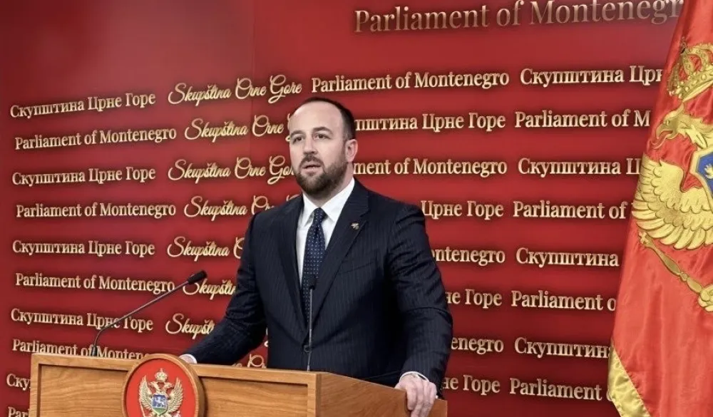 Nikolić: Ako Mandić planira da u dnevni red sjednice o IBAR uvrsti&nbsp;Rezoluciju o Jasenovcu, to radi po nalogu Vučića