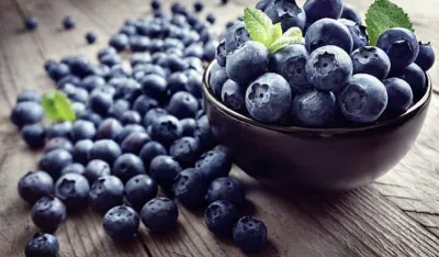 Koje su sve blagodeti borovnice