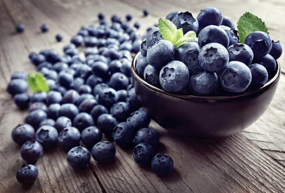 Koje su sve blagodeti borovnice