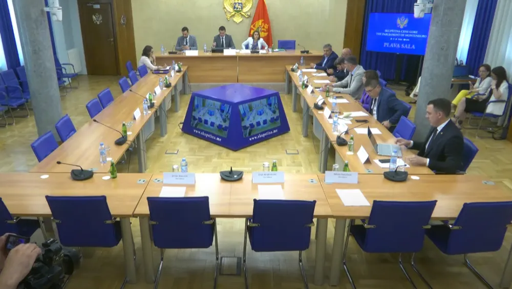 Odbor za politički sistem podržao medijske zakone