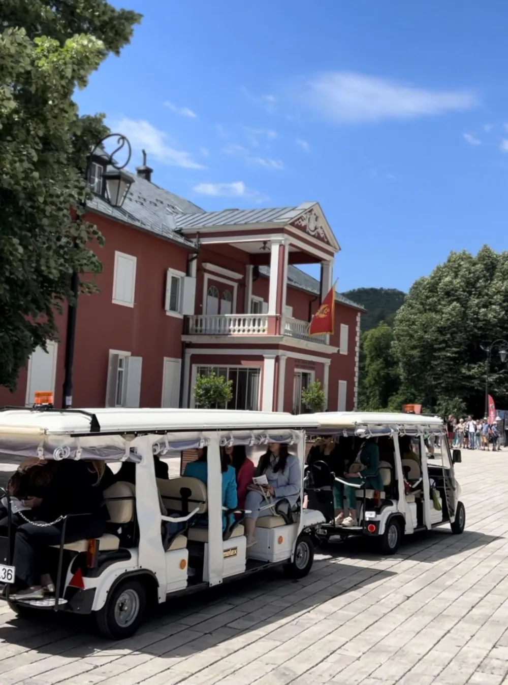 Elektični vozići