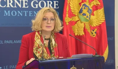 Bo&scaron;njak: Crna Gora je miljama daleko od vladavine prava i pravde