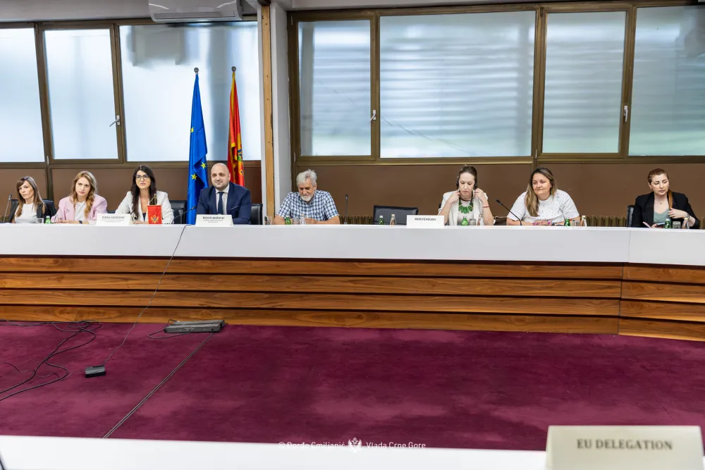 Božović: Intenziviraćemo rad na ispunjenju obaveza iz evropske agende