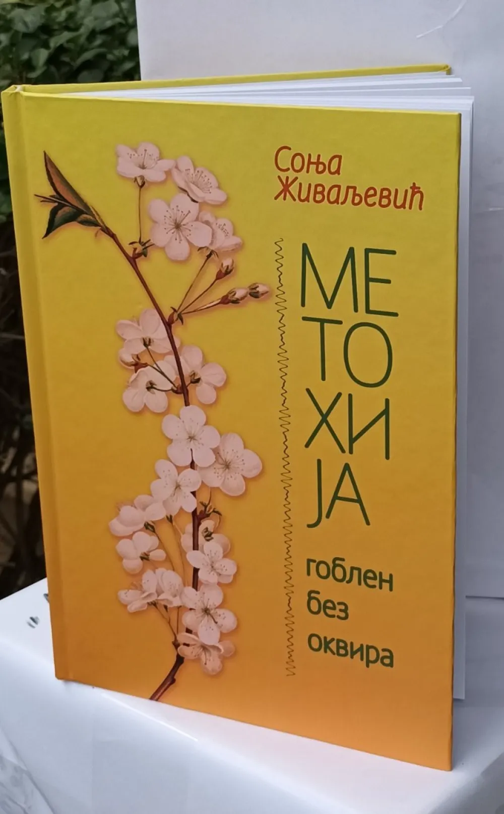 Novi roman Sonje Živaljević: Lirsko slovo o epskom vremenu