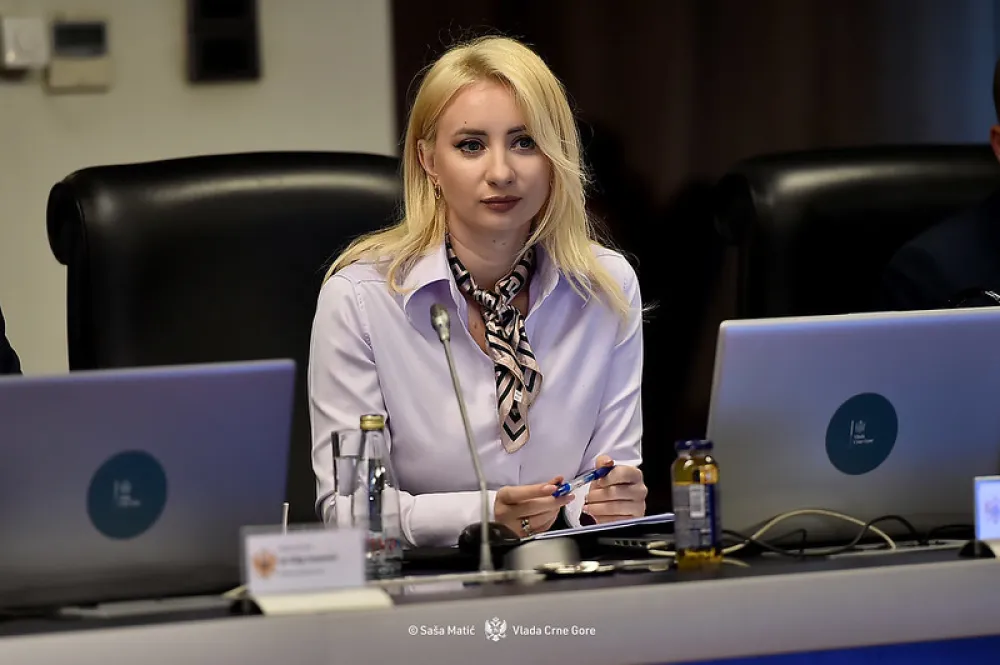 Gorčević: Međuvladinoj konferenciji prisustvuju predsjednik Vlade i ministri vanjskih i evropskih poslova