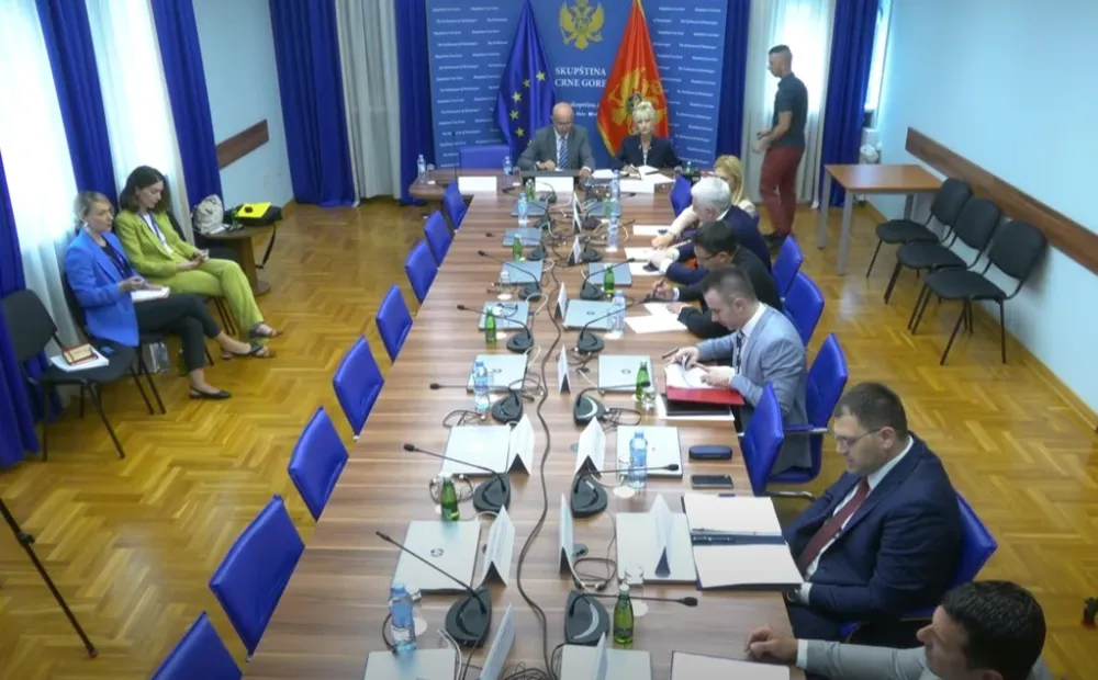 Poslanici opozicije, članovi Odbora za bezbjednost Danijel Živković, Nikola Janović, Nikola Zirojević  i Filipa Adžića  podnijeli su ovom tijelu, zahtjev o održavanju kontrolnog saslu&scaron;anja na osnovu člana 75 Poslovnika Skup&scaron;tine Crne Gore.   Ipak, inicijativa nije pro&scaron;la, jer za nju nije bilo većine. Saslu&scaron;anju su se protivili poslanici PES, na čelu sa predsjednikom Odbora Miodragom Lakovićem, koj je tvrdio da takva inicijativa nije u skladu sa zakonom. Protiv su glasali i Boris Bogdanović iz Demokrata i Jovan Vučurović iz Nove srpske demorkatije.