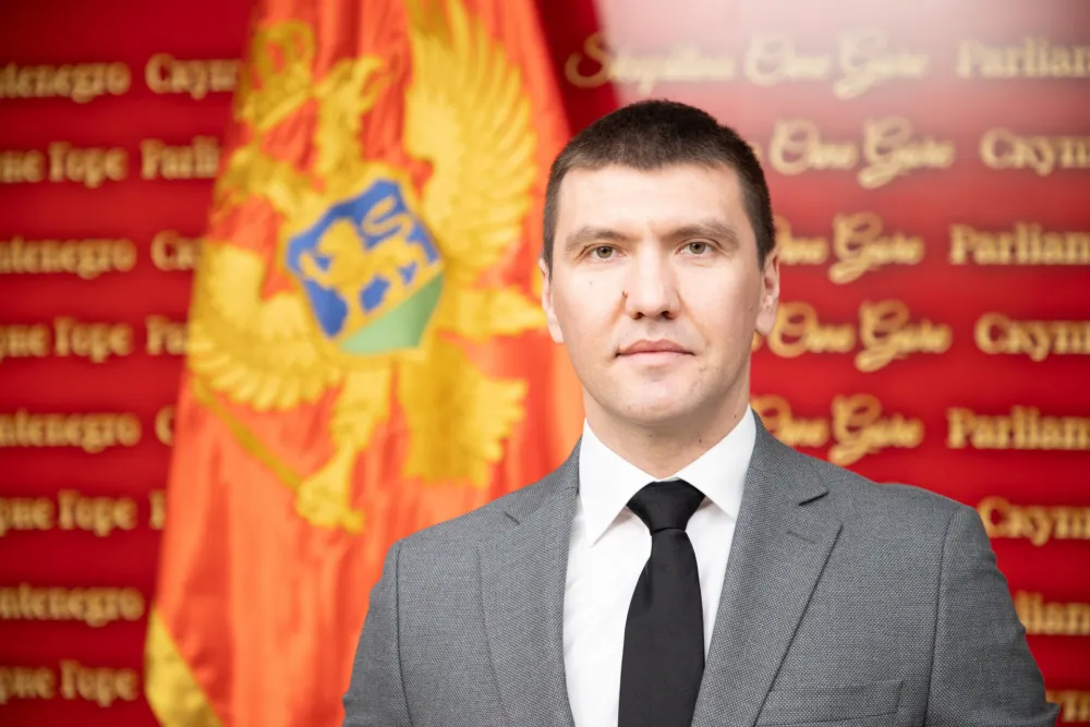 Petrić: Milatović i opozicija usagla&scaron;eno obesmi&scaron;ljavaju usvojenu rezoluciju