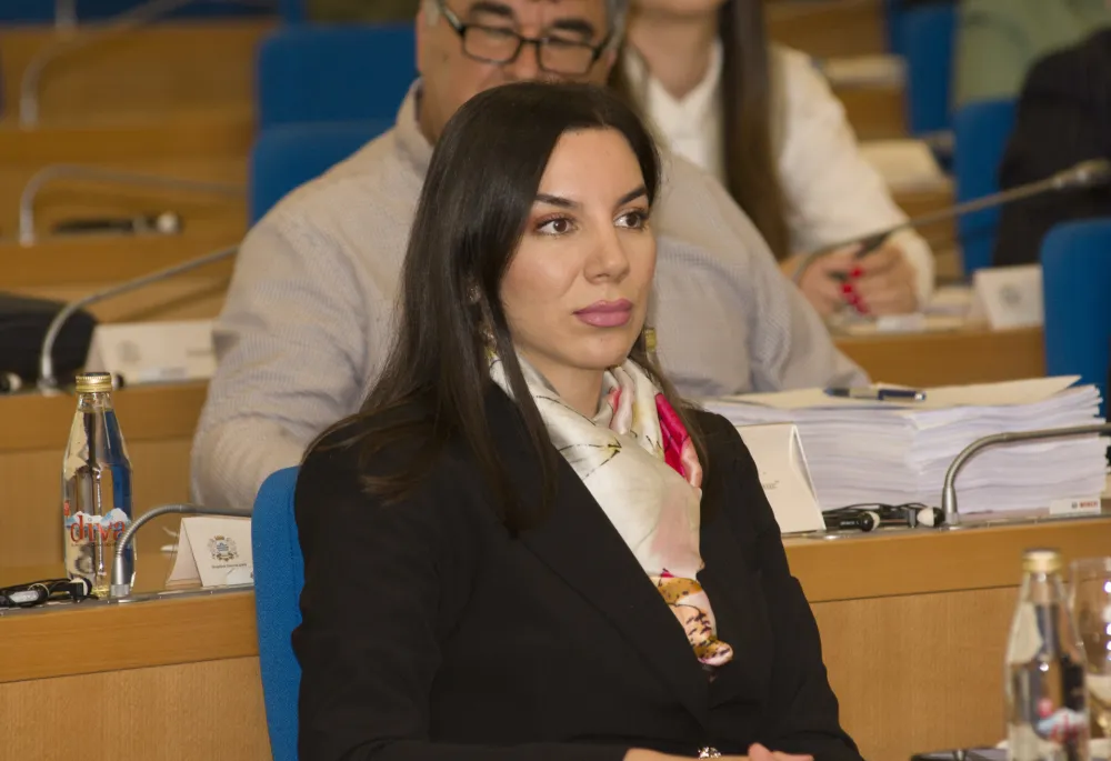 sjednica skupstine glavnog grada