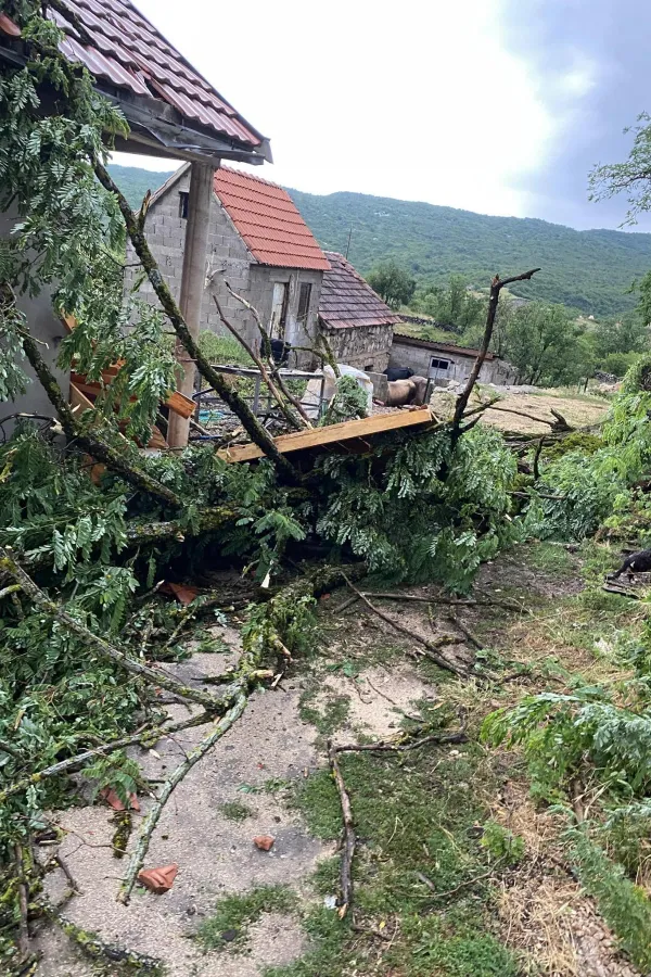 (FOTO) Nevrijeme kod Nik&scaron;ića: Olujni vjetar o&scaron;tetio krovove kuća, čupao drveća