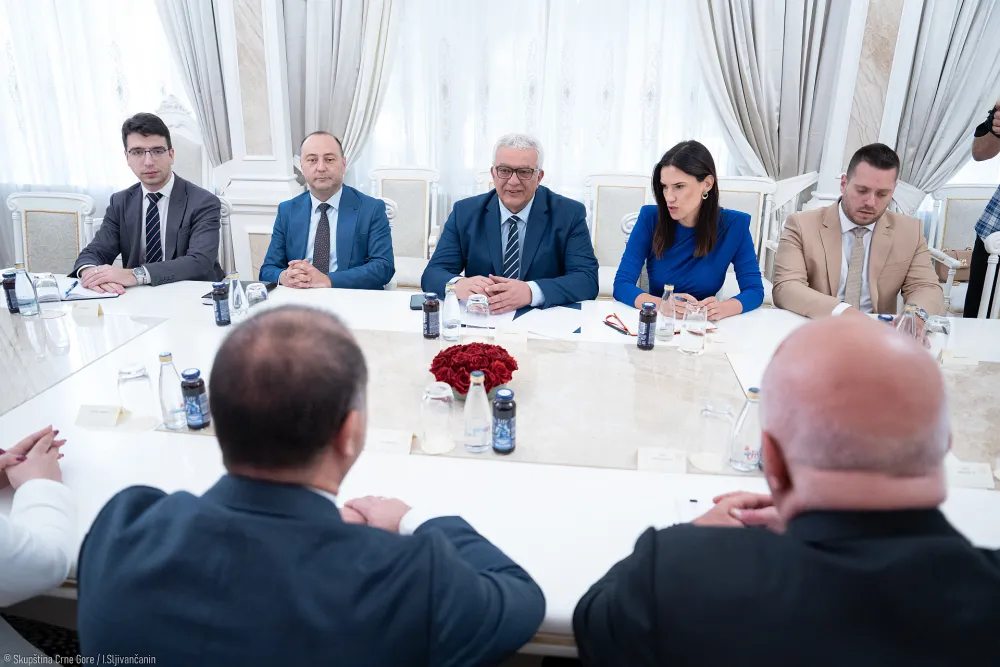 Mandić sa&nbsp;Grupom prijateljstva Parlamenta Gruzije:&nbsp;Raditi na otvaranju diplomatsko-konzularnih&nbsp;predstavni&scaron;tava