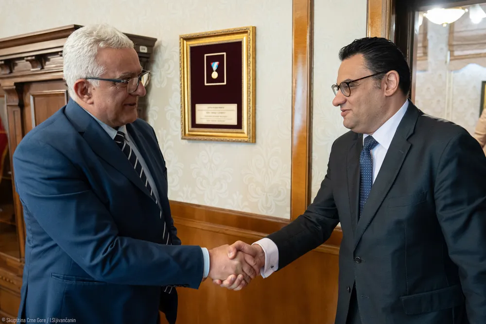 Mandić - Afifi: Formiranje grupe prijateljstva sa Egiptom u zavr&scaron;noj fazi