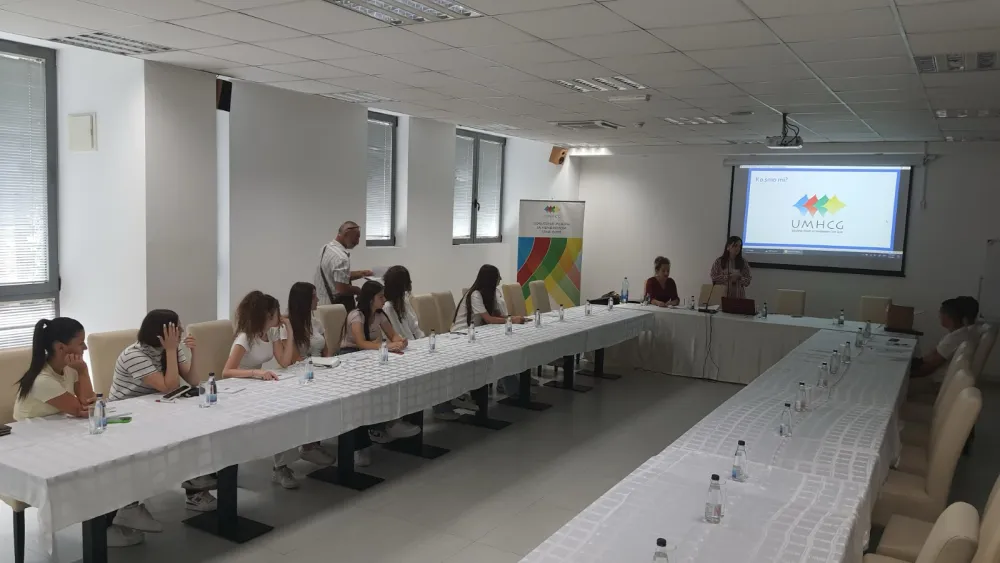 Radionica UMHCG: Po&scaron;tovanje prava na slobodno kretanje u javnom saobraćaju