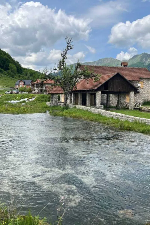 Alipa&scaron;ini izvori