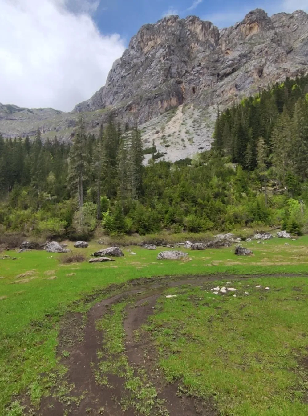 Besplatan ulaz u nacionalne parkove povodom 13. jula - ne koristiti dronove