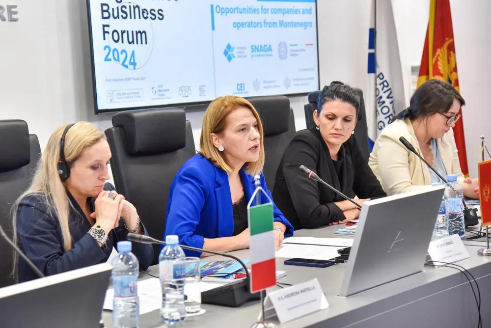 Prezentovan Big Science Business Forum 2024.