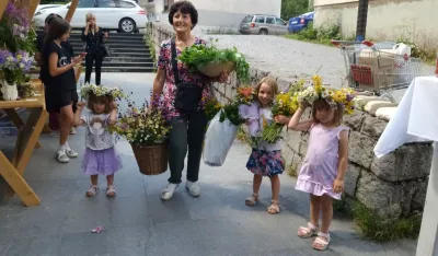 "Dani planinskog cvijeća" na Žabljaku upotpunjuju turističku ponudu