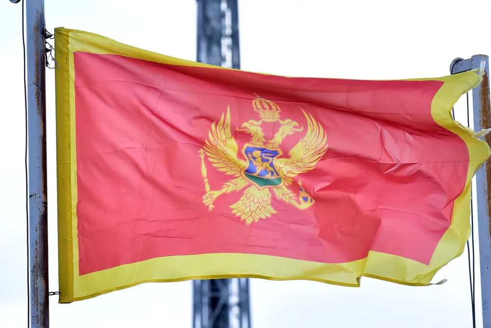 U Ljubljani obilježen Dan državnosti Crne Gore