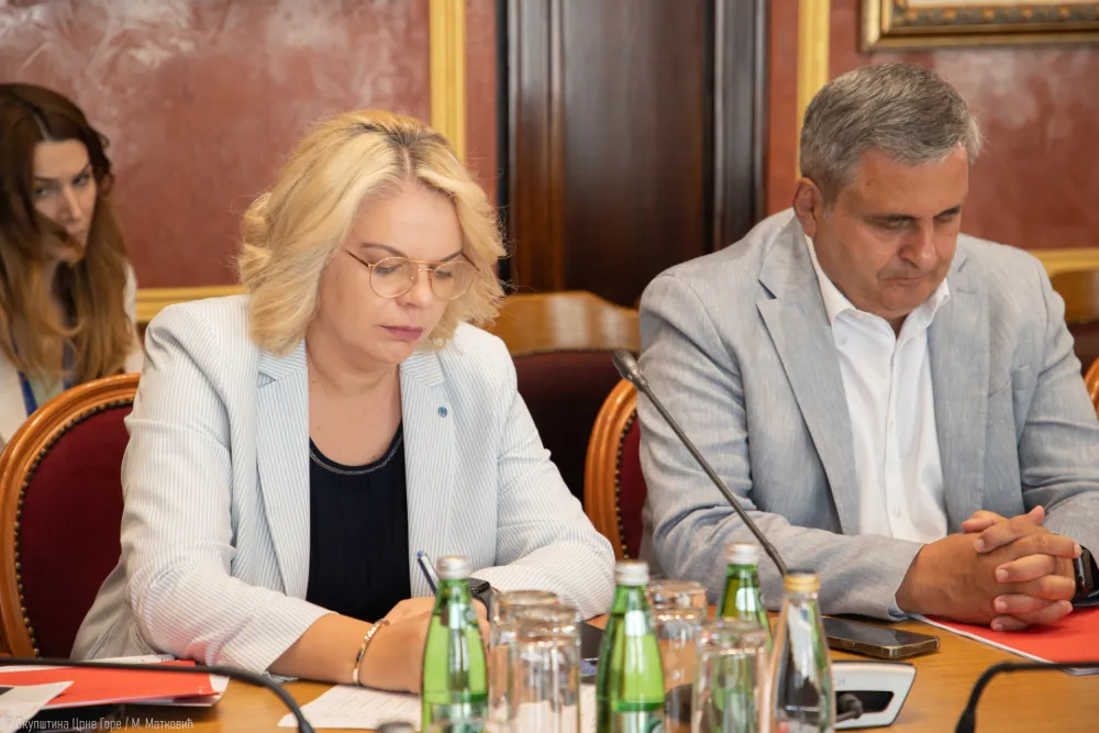 Odbor dao pozitivno mi&scaron;ljenje da&nbsp;Mirković bude imenovan za izvanrednog i opunomoćenog ambasadora u SAD