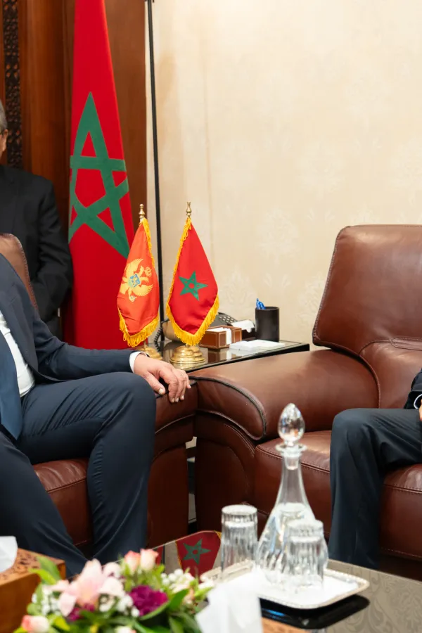 Mandić: Neophodno&nbsp;restartovati ranije potpisane ugovore sa parlamentom Maroka