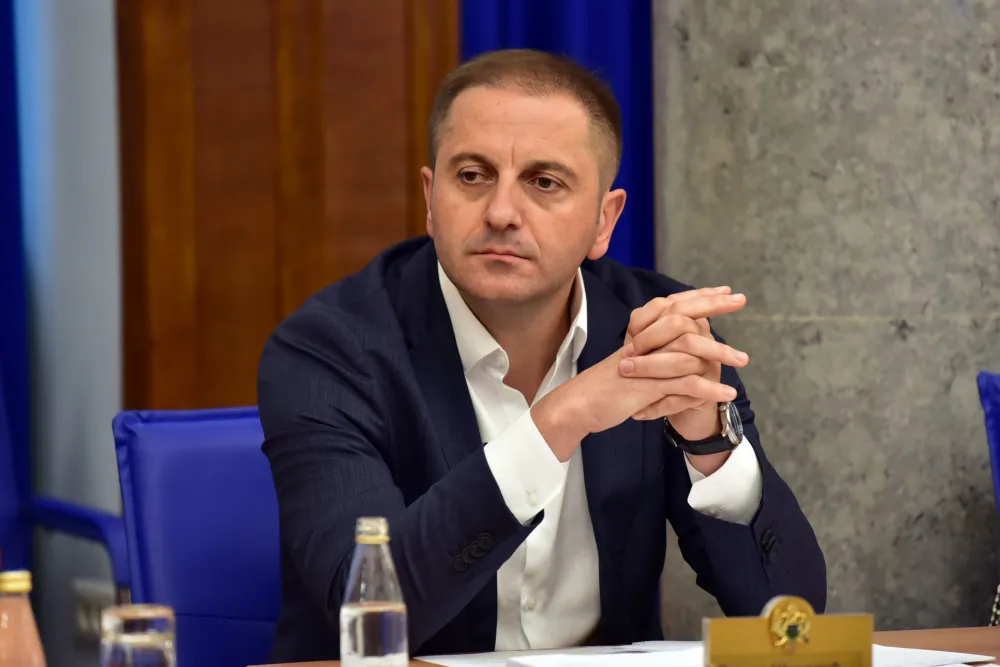 Odbor za ekonomiju, rebalans, Damir Sehovic