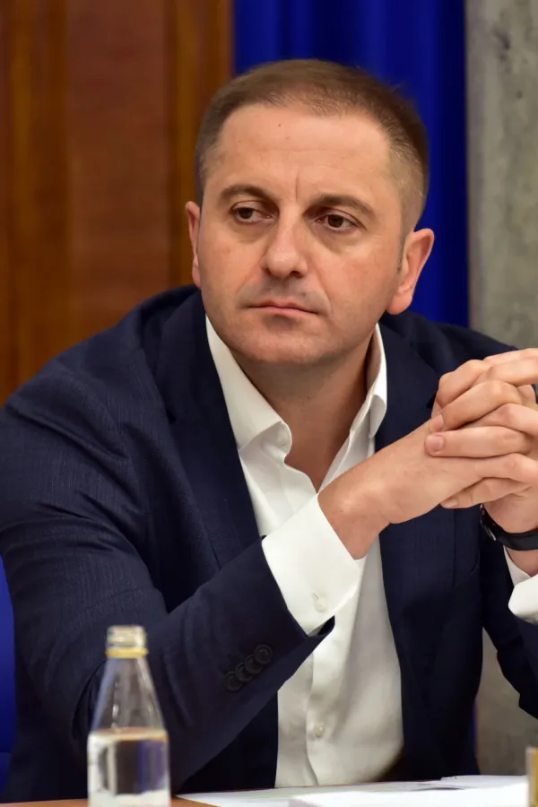Odbor za ekonomiju, rebalans, Damir Sehovic