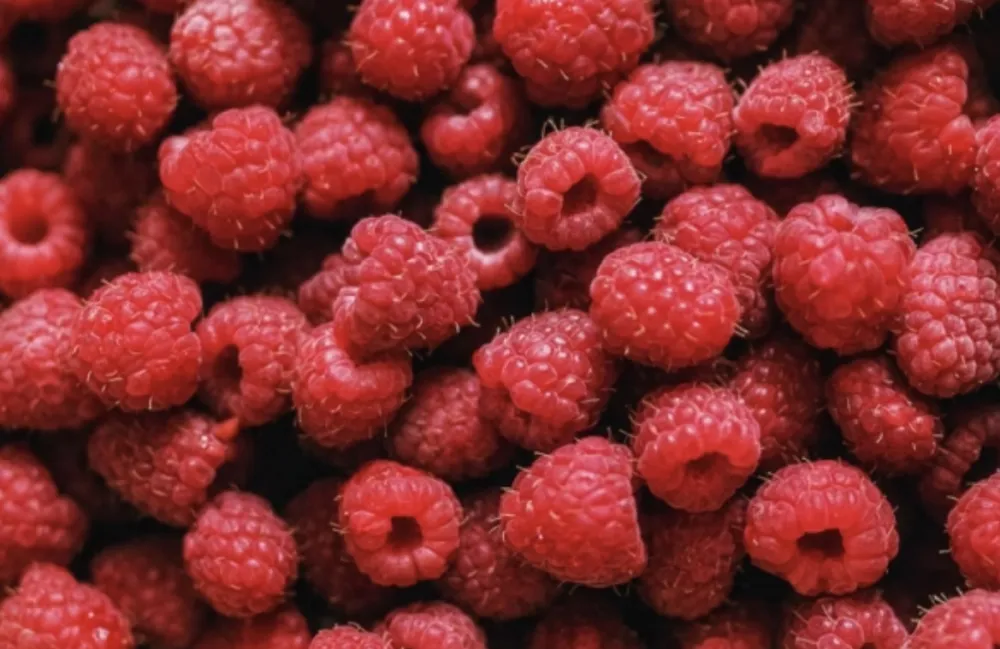 Nutricionisti upozoravaju: Previ&scaron;e malina može dovesti do stomačnih tegoba