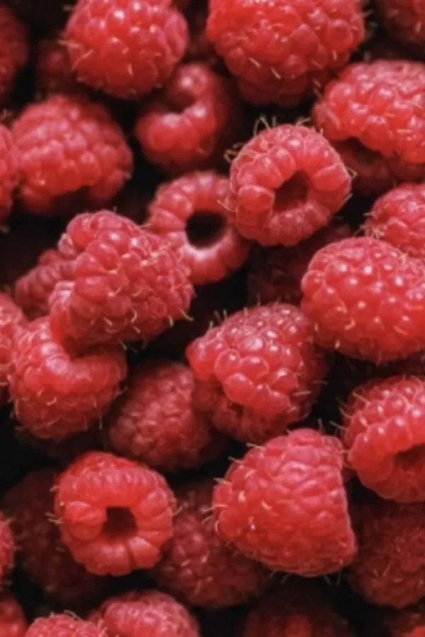 Nutricionisti upozoravaju: Previ&scaron;e malina može dovesti do stomačnih tegoba