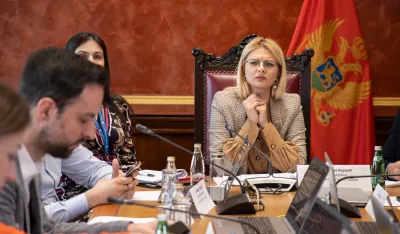 Jelena Nedović