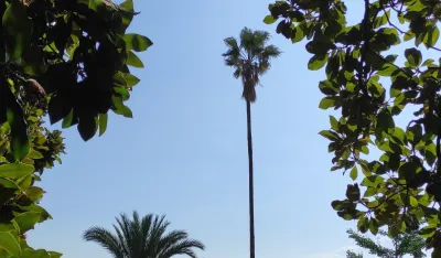 Sjutra pretežno sunčano, do 35 stepeni