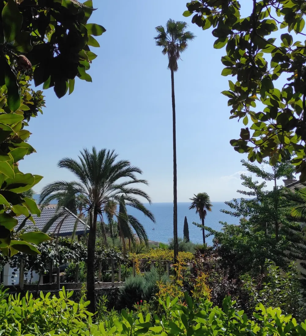 Sjutra pretežno sunčano, do 35 stepeni