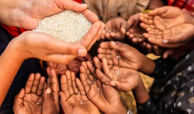 Svaki 11. stanovnik planete gladan