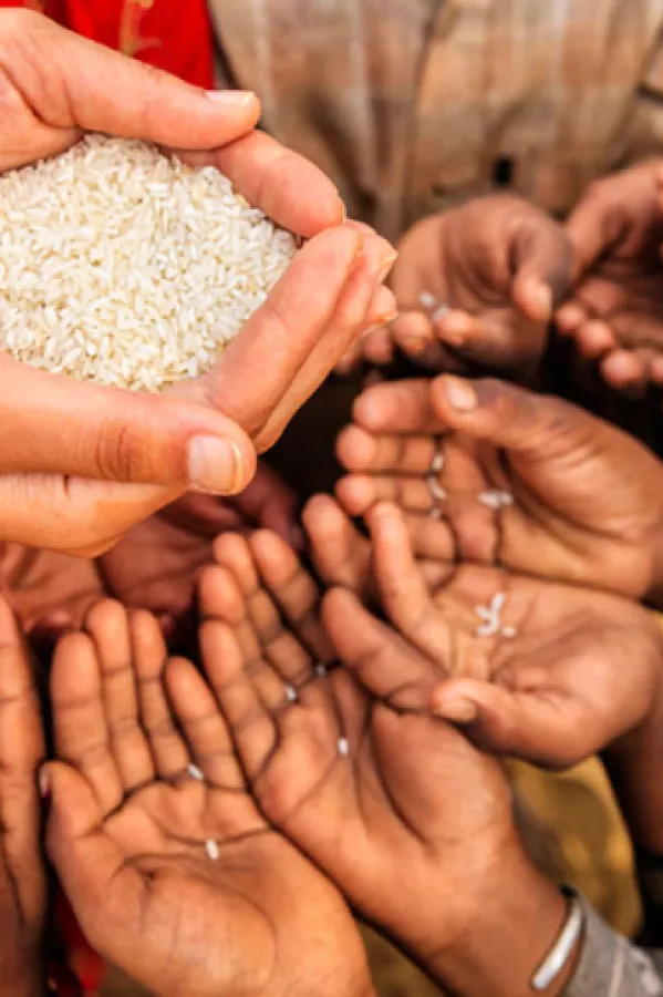 Svaki 11. stanovnik planete gladan