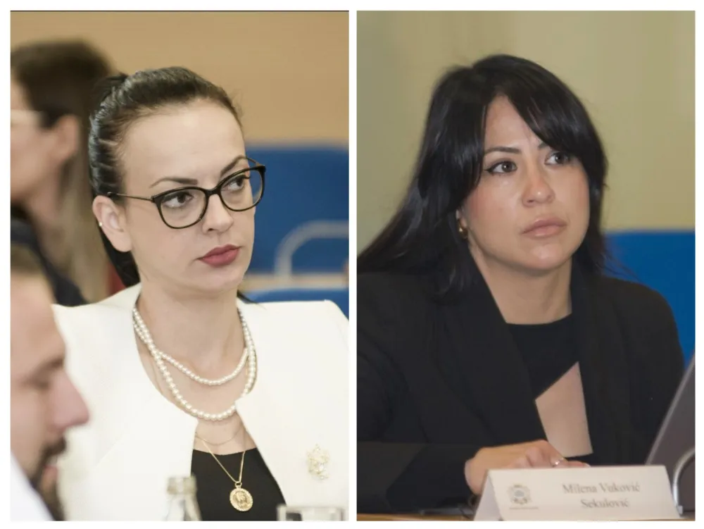 Bajić i Vuković 