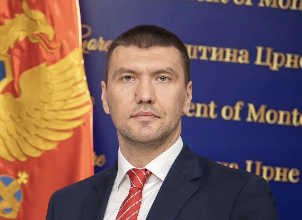 Dražen&nbsp;Petrić