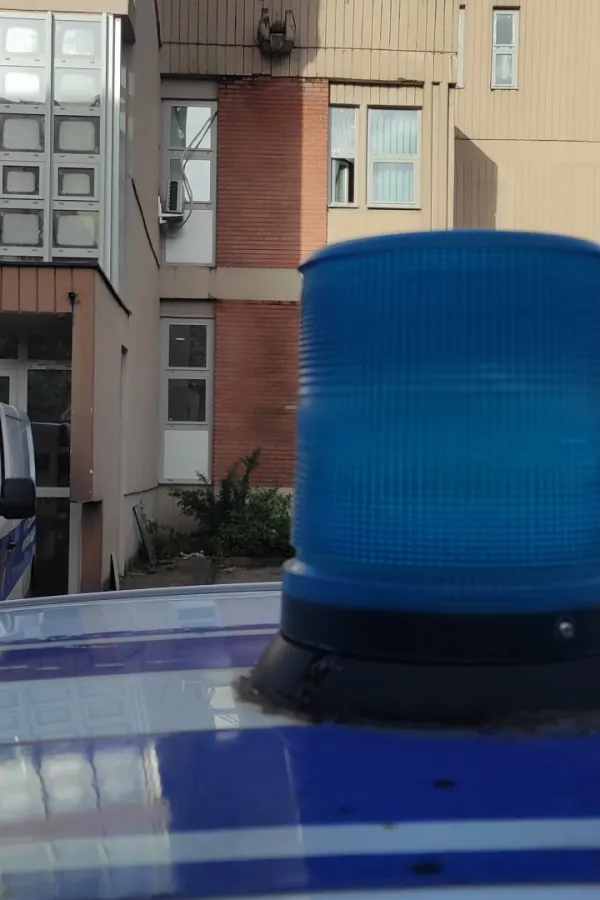 Policajcima tokom ljeta pomažu kolege iz sedam država
