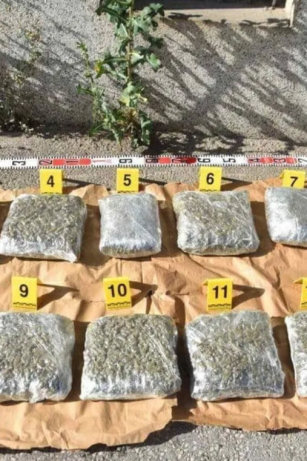 SDT predalo optužnicu:&nbsp;Novljanina sumnjiče za &scaron;verc 250 kilograma konoplje