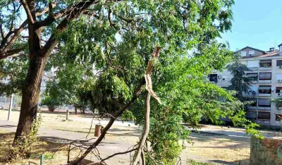 (FOTO) U Aerodromskoj ulici vjetar oborio stablo